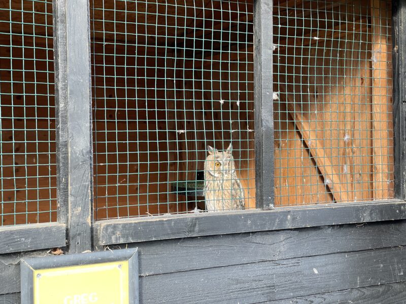 リーズ城の庭園にあるバードセンター